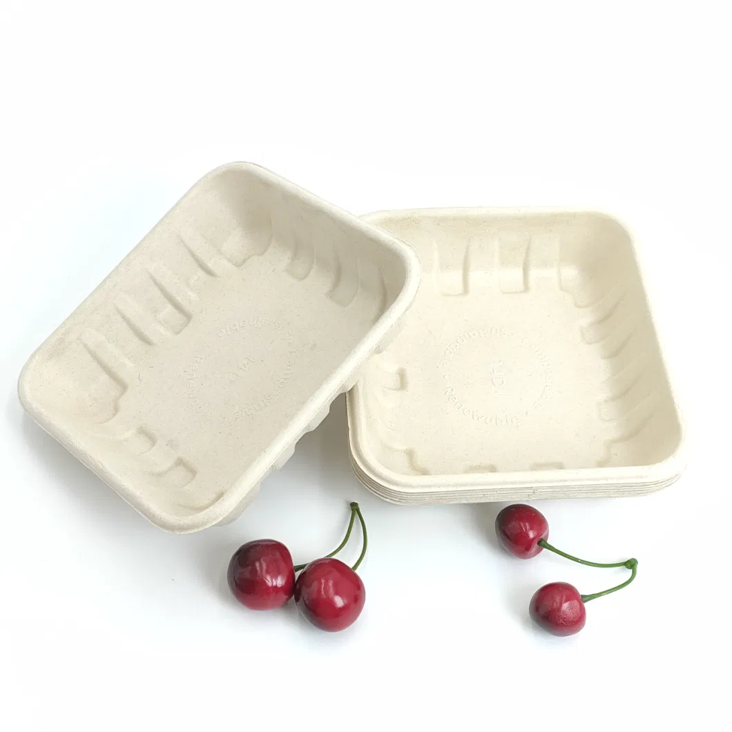 Disposable Sugarcane Bagasse Tableware Fruit and Vegetables Tray 5 Compartment Plate